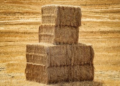 Toscana2022 Hay Bale 2