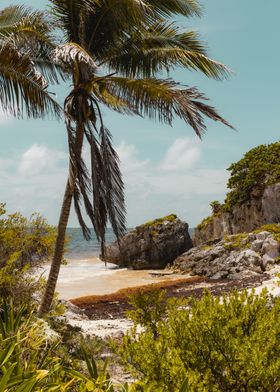 Yucatan coast