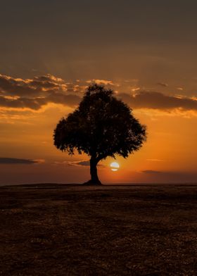 Golden Tree