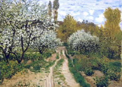 trees in bloom by Monet