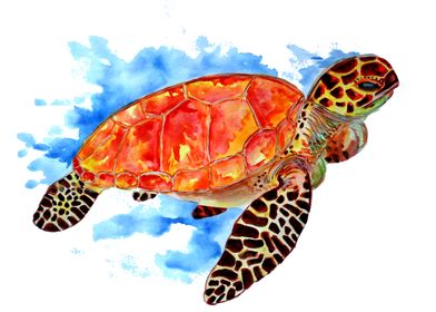 Red Watercolor Sea Turtle