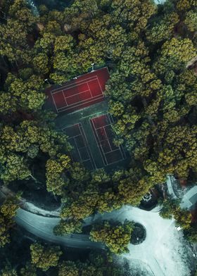 Tennis in the Trees