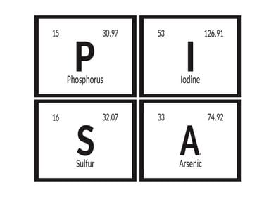 Elements of Pisa City