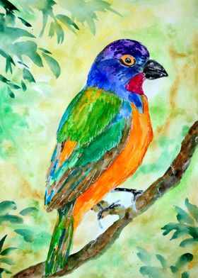 Colorful Bunting Bird