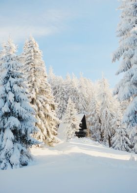 Lonely cabin