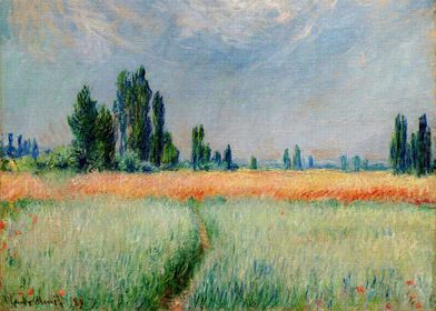 the wheat field by Monet