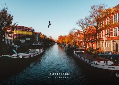 Amsterdam  