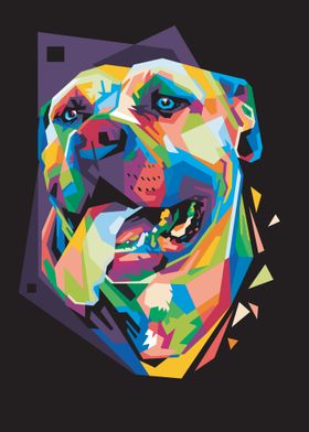 Colorful dog head