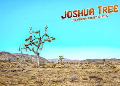 Joshua Tree National Park