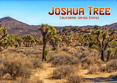 Joshua Tree National Park