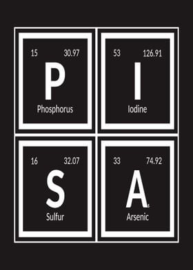 Elements of Pisa