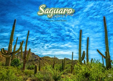 Saguaro National Park