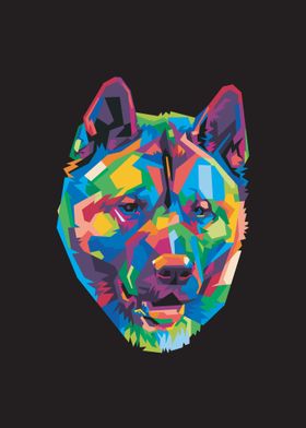 Colorful dog head