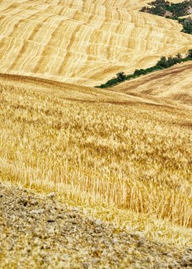 Val dOrcia Fields 1