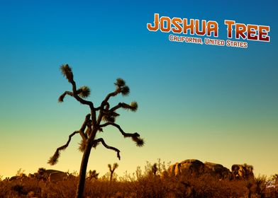 Joshua Tree National Park