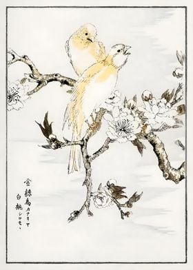 Ukiyo e Canary Spring Day