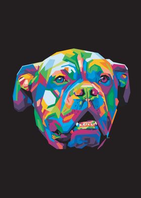 Colorful dog head