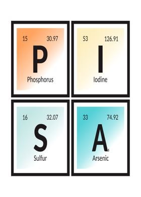 Elements of Pisa City