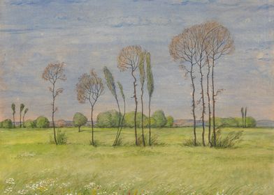 Landscape in spring