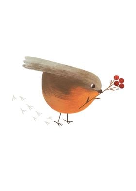 Robin Bird with Berries