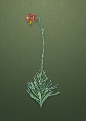 Scarlet Martagon Lily