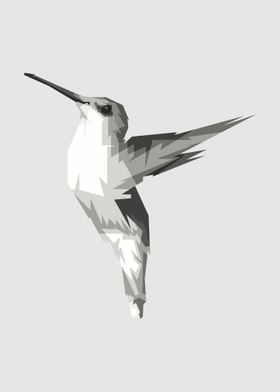 Grayscale Pleci bird