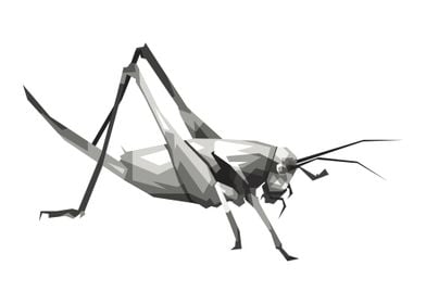 grayscale Grasshopper Art