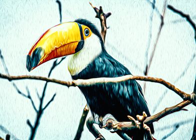 Hornbill