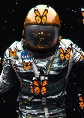 Astronaut Dead Fly