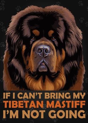 Funny Tibetan Mastiff