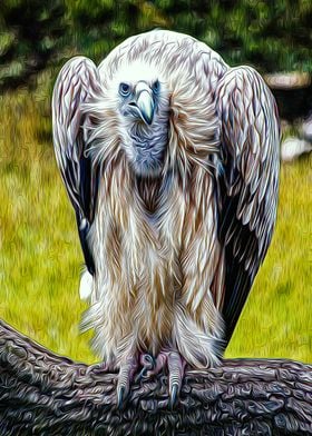 Vulture