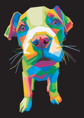 Colorful baby pitbull dog