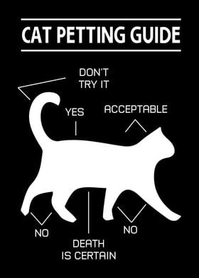 Cat Petting Guide