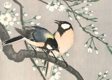 Ukiyo e Bird Spring Days