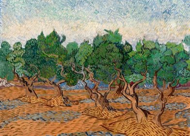 Van Gogh Olive Grove 1889