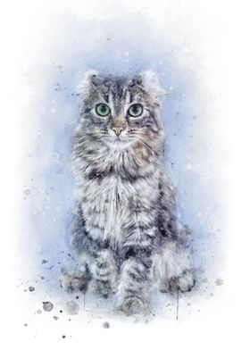 American Curl cat art