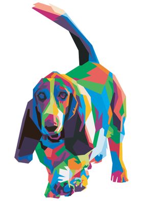 Colorful basset hound dog