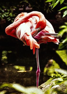 Flamingo