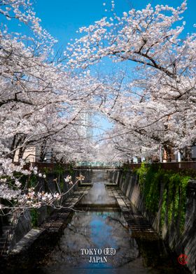 Tokyo Japan