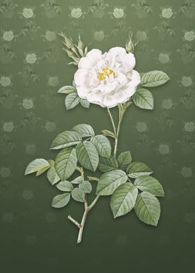 White Rose on Lunar Green