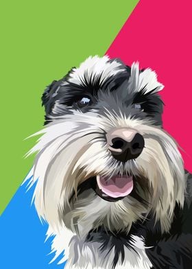 Schnauzer dog in vector