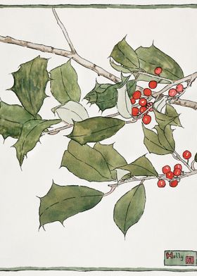 Holly 1915 by Hannah