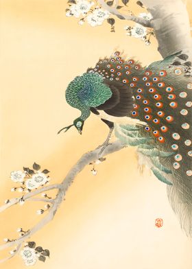 Ukiyo e Peacock