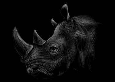 Rhinoceros