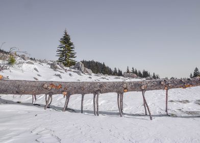 Winter Landscape Romania