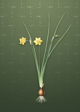 Daffodil on Lunar Green