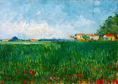 Van Gogh Field Poppies