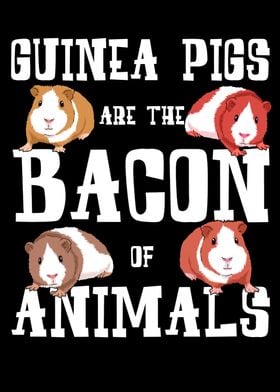 Funny Bacon Guinea Pig