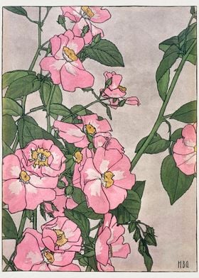 Prairie Rose 1915 Hannah