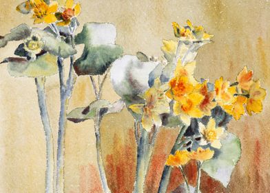 Orange Flower 1915